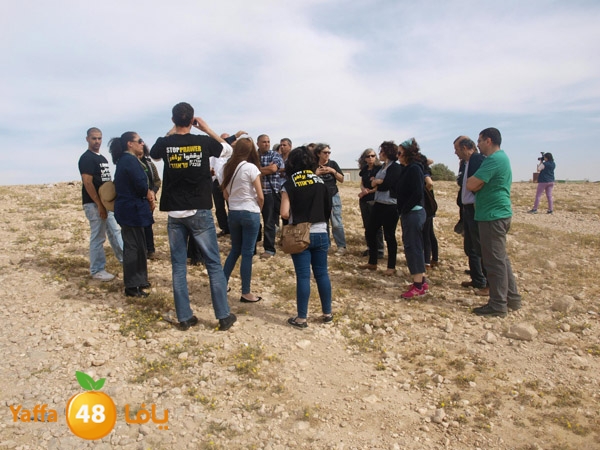 arddaynaqav331 (3).jpg